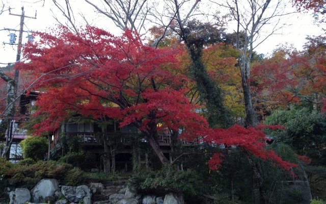 Cultural Property of Japan Senzairo