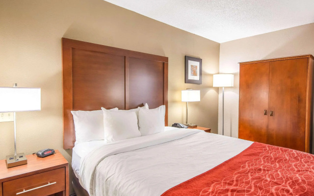 Comfort Inn Greenville - Haywood Mall