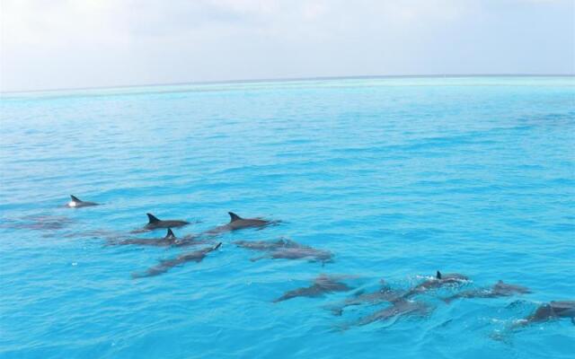 Venturo Inn at Maafushi