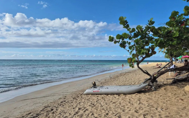 Large 3-bedroom Apartment