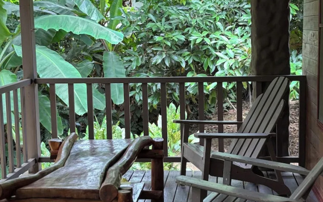 Svastha Yoga & Ayurveda Cafe