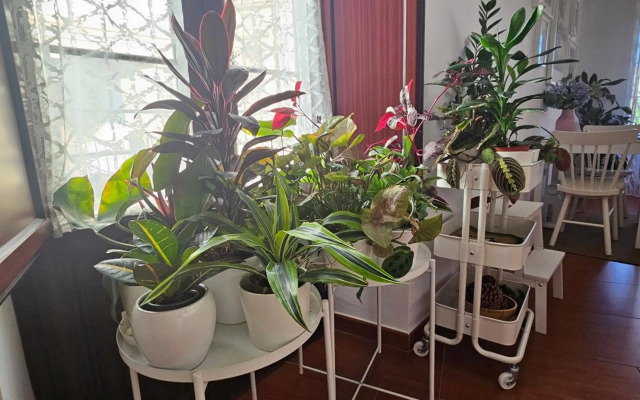 Apartamentos Los Descalzos Ángel