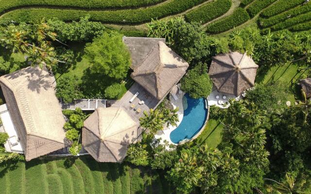 Planta Luxury Boutique Resort