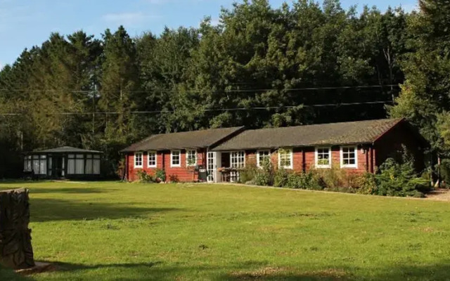 Woodland Lodge-art Activ