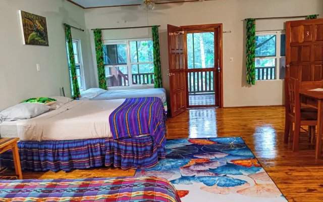 The Cabins at Monkey Fall