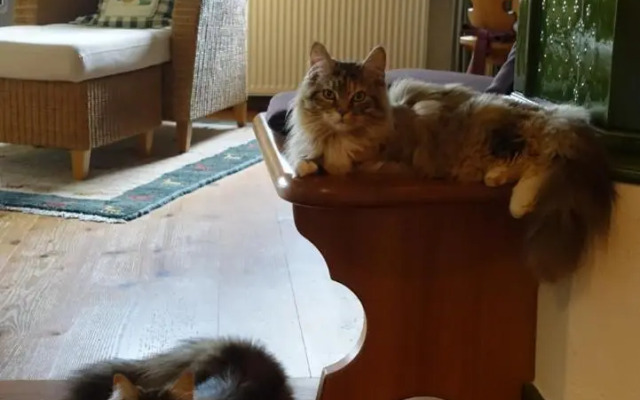 Hollhouse - Bed & Breakfast