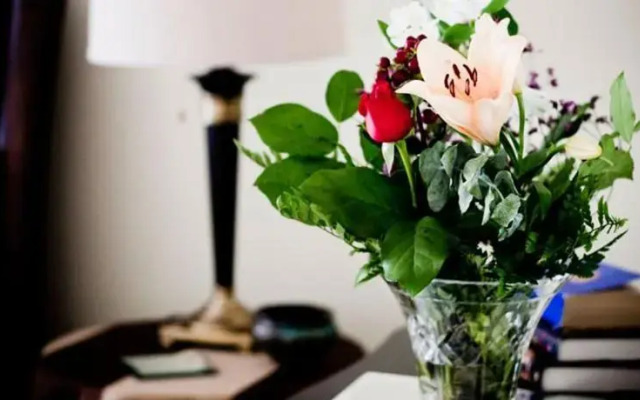 Rosseaus Northern Landing