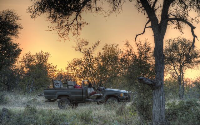 Simbavati River Lodge