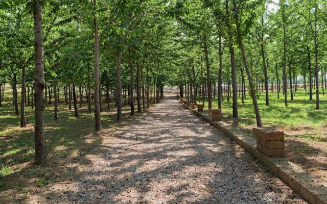 Modern Eco-Friendly Apartment Steps Away From the Sea And Nature