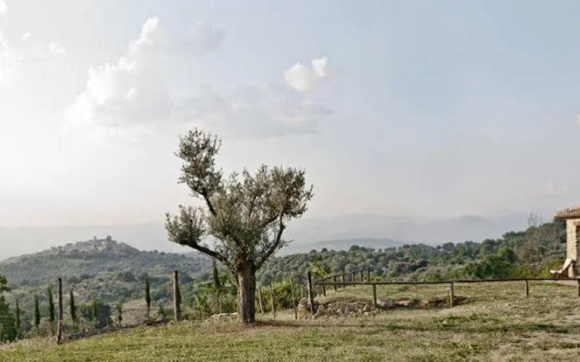 Azienda Agrituristica Le Macchie Alte