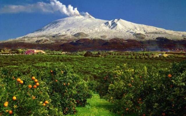 Corte Degli Aranci House