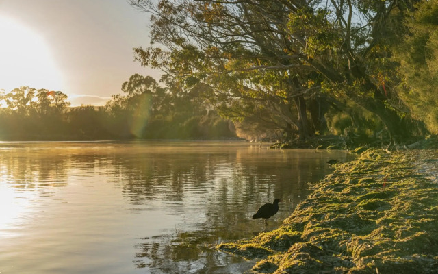 Silver Fern Rotorua Suites & Spa