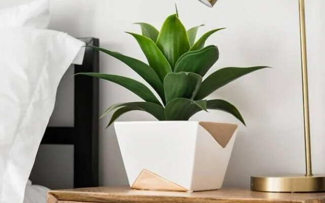 Spa-inspired Modern Oasis Near Downtown Nashville