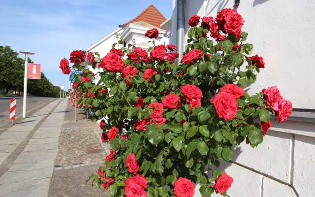 Parkhotel Putbus(Adults Only)