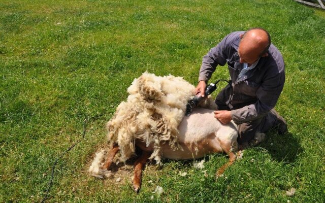 B&B t Verloren Schaap