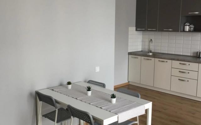 Scandinavian apartment