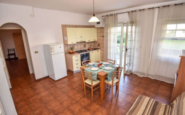 Green Marine, Palme, Ismare 32519