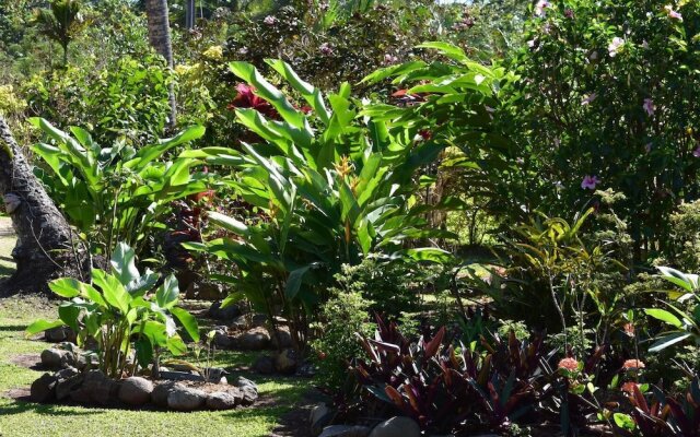 Island Breeze Fiji