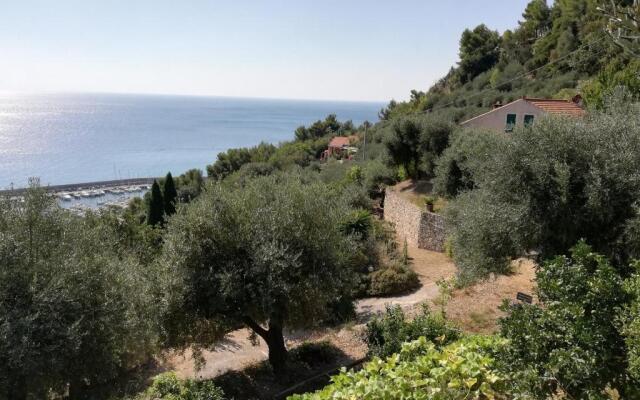 Ariadimare Guest House