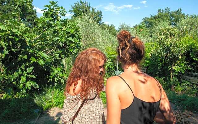 Centro Studi Nuovarmonia