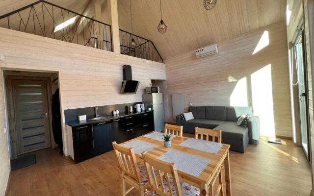 Barn S&S House