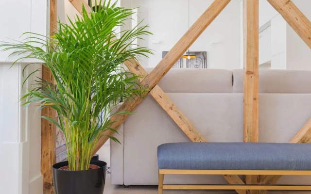 Ando Living Santa Justa 79 House