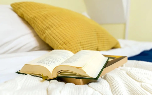 Apartments Millionnaya 11