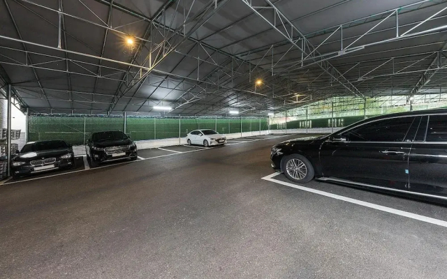 Gimhae Samgye Brown Dot