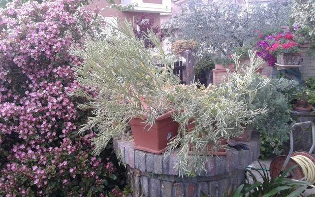 Bed And Breakfast Europe