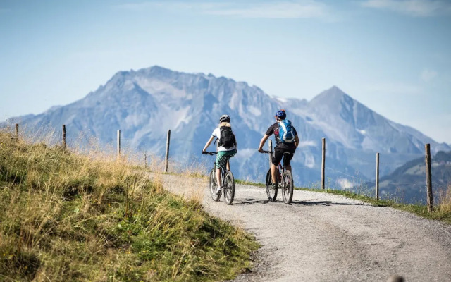 Gaspingers Bergjuwel