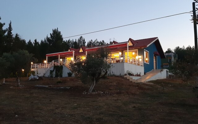 Baska Bir Yer
