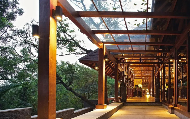 The Tamara Coorg