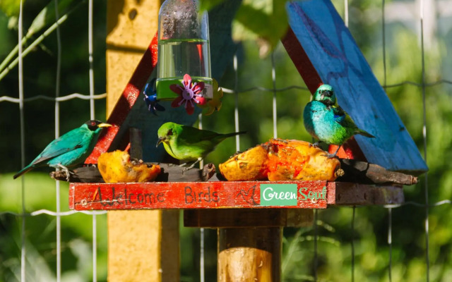 Greensoul Eco Hostel