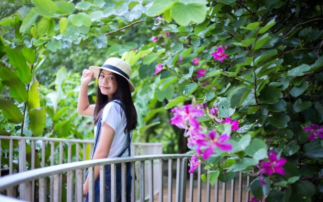 Watermill Resort
