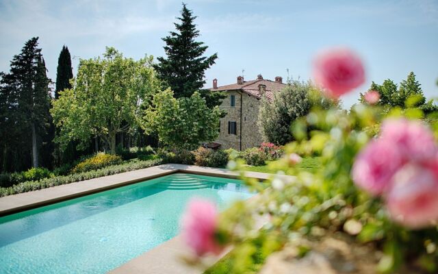 Luxury Chianti in Olive