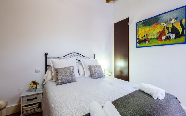 Apartamentos con patio junto a la catedral by Toledo AP