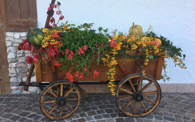 Agriturismo Alpenvidehof