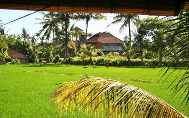 The Happy Mango Tree - Hostel