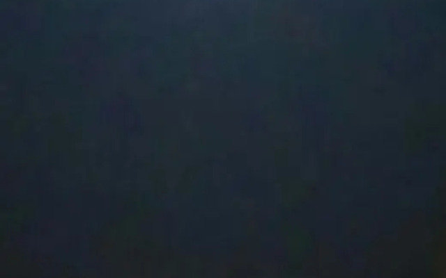 Ear