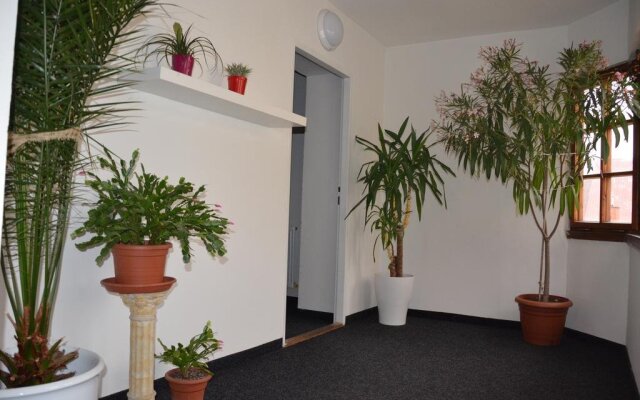 Guesthouse Zlatý Hrozen