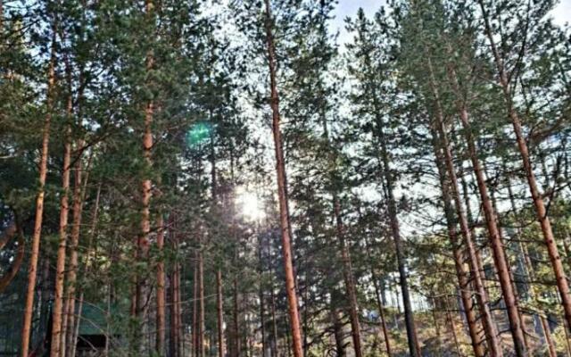 Lux apartman Zlatibor S14 - vila Peković