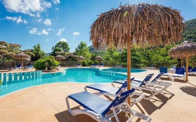 Camping Les Cerisiers du Jaur