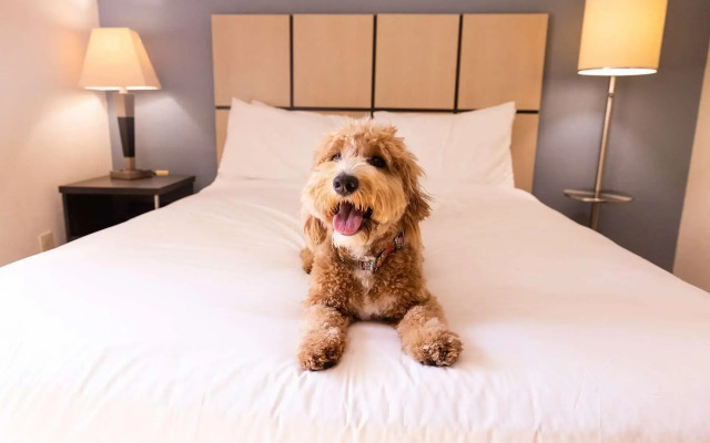 Sonesta Simply Suites Phoenix Tempe