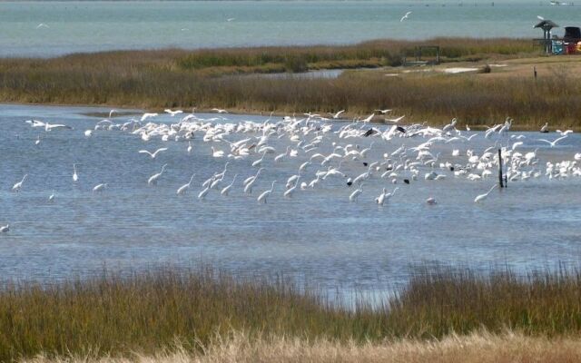 Birds I View - The Villas C4