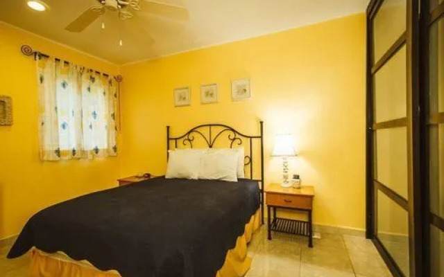 Viento Celestial by NAS