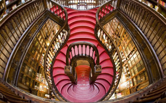 Douro Eiffel Bridge Amazing View