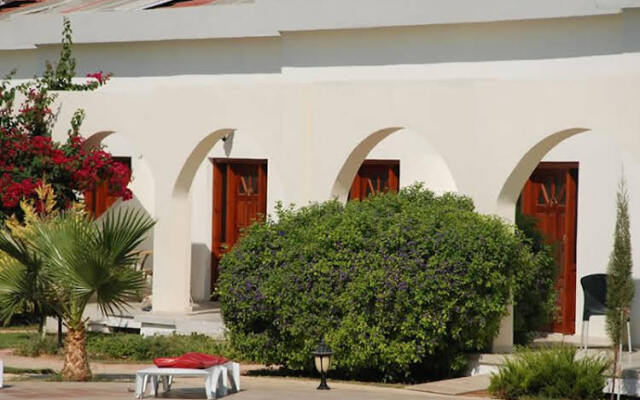 Yeldener Crystal Rocks