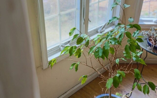 Ganghwado Badaga Geuriun Namu Pension