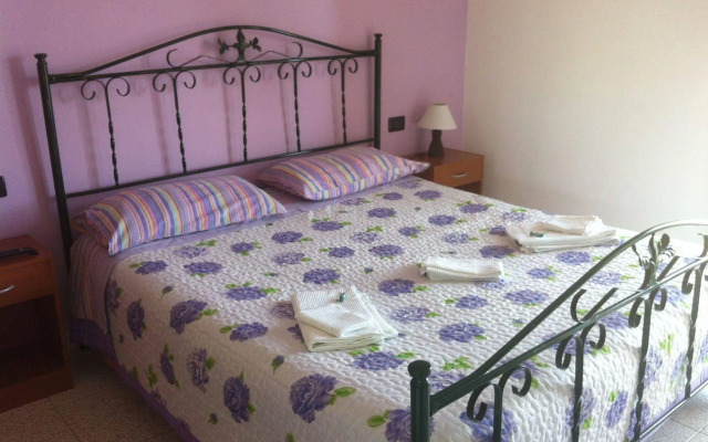 B&B Xenia