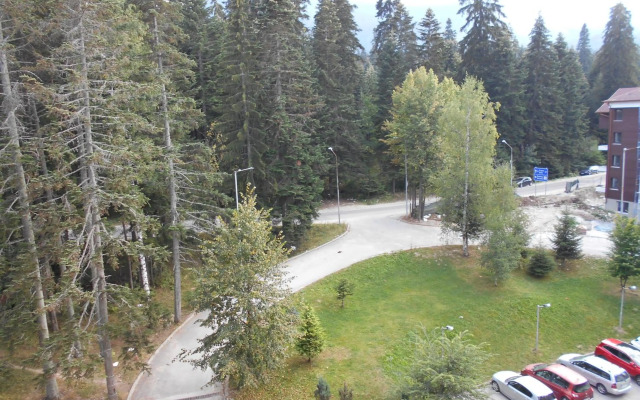 Studio D-55 in Borovets Gardens hotel